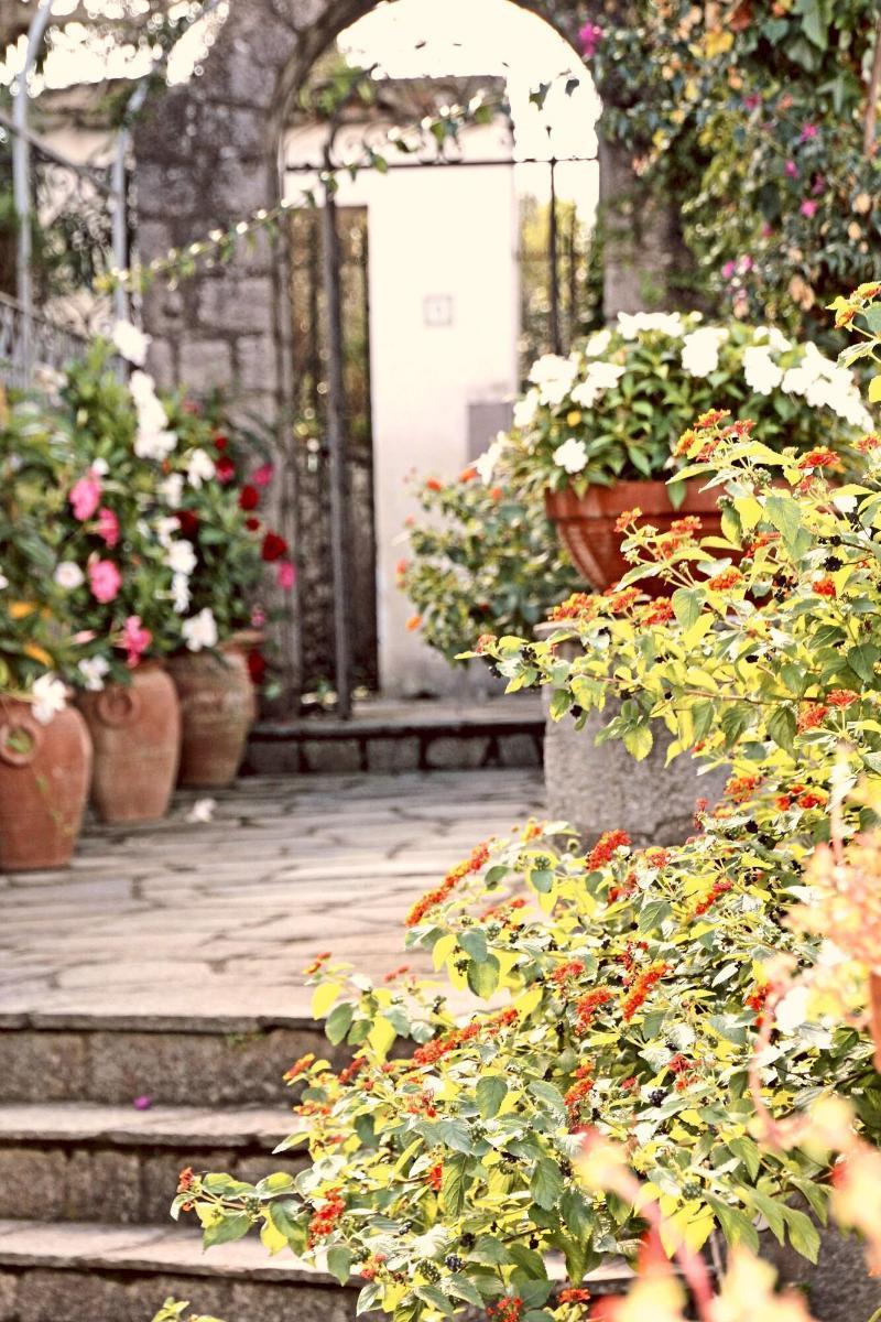 Cavalluccio Marino Anacapri  Exterior photo