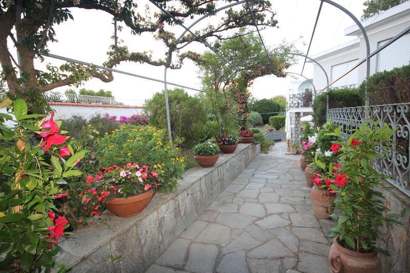 Cavalluccio Marino Anacapri  Exterior photo